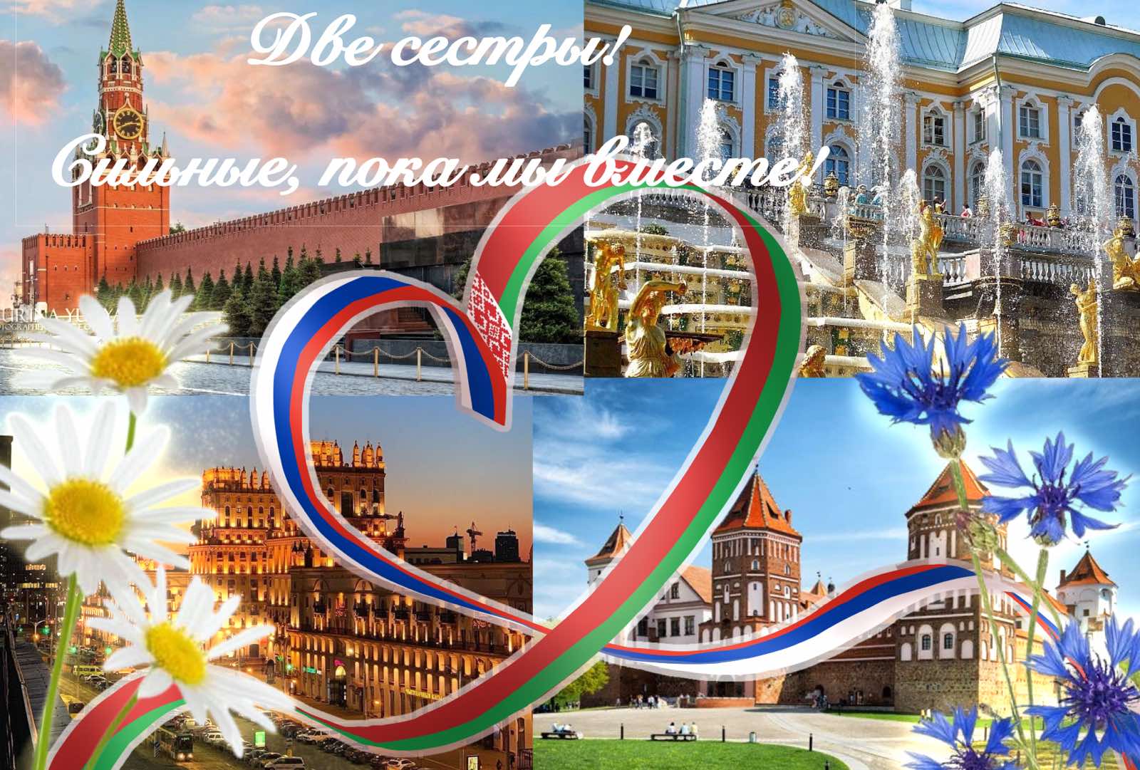 изображение_viber_2026-04-03_10-52-45-306.jpg